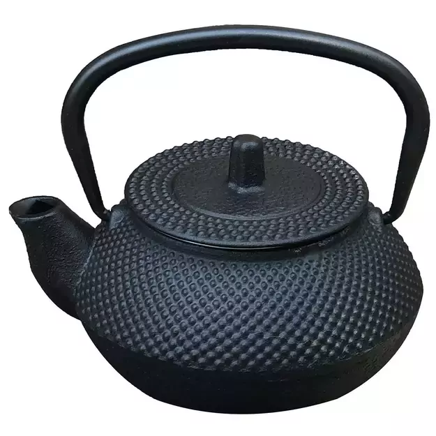 Ketaus arbatinukas su filtru KINGHoff KH-1817, 0.3L