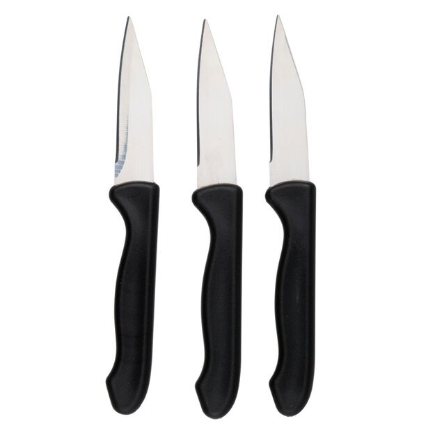 ALPINA daržovių peiliukai 18 cm, 3 vnt.