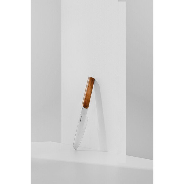 BergHOFF 3 dalių peilių rinkinys - Ion serija su medinėmis rankenomis preciziškam pjaustymui 