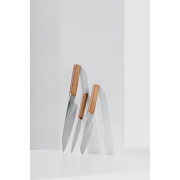 BergHOFF 3 dalių peilių rinkinys - Ion serija su medinėmis rankenomis preciziškam pjaustymui 