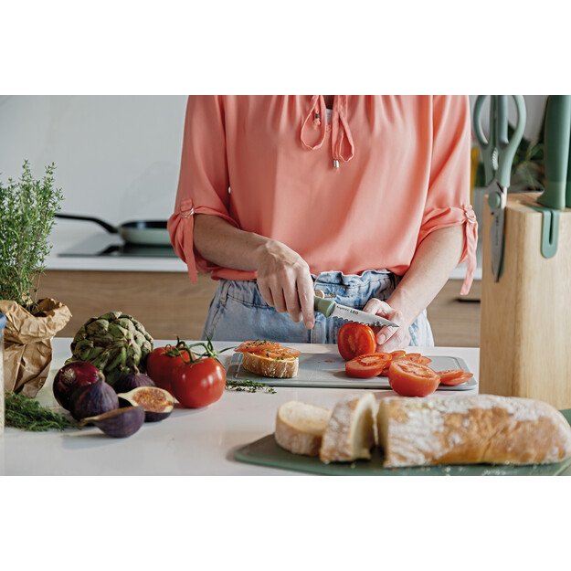 BergHOFF 6 dalių peilių blokas - Forest serija su įmontuotu galąstuvu ir mink&scaron;tomis rankenomis 