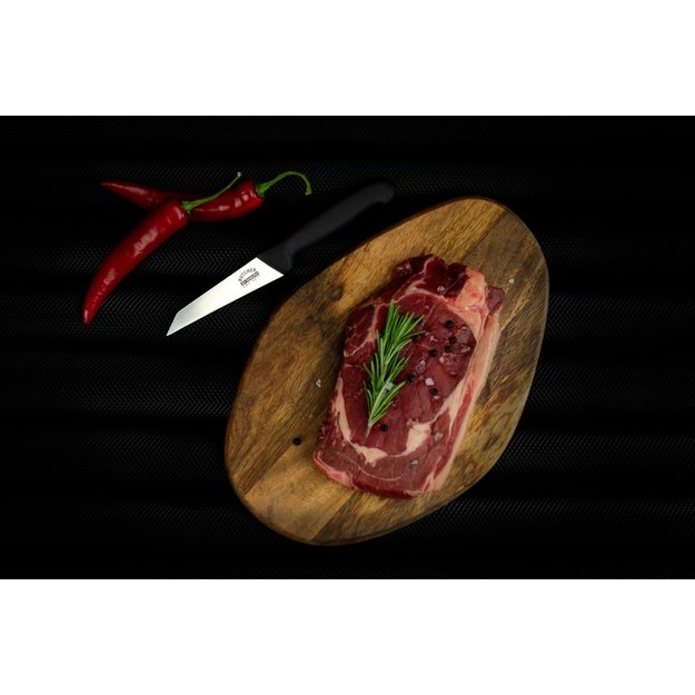 Samura BUTCHER universalus virtuvinis peilis 91 mm – tikslus, atsparus, profesionalus pasirinkimas