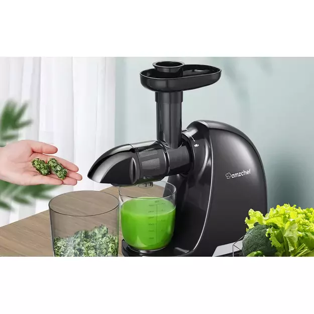 AMZCHEF lėtaeigė sulčiaspaudė 150 W, 80 RPM, juoda, 1501-BK-SM 2