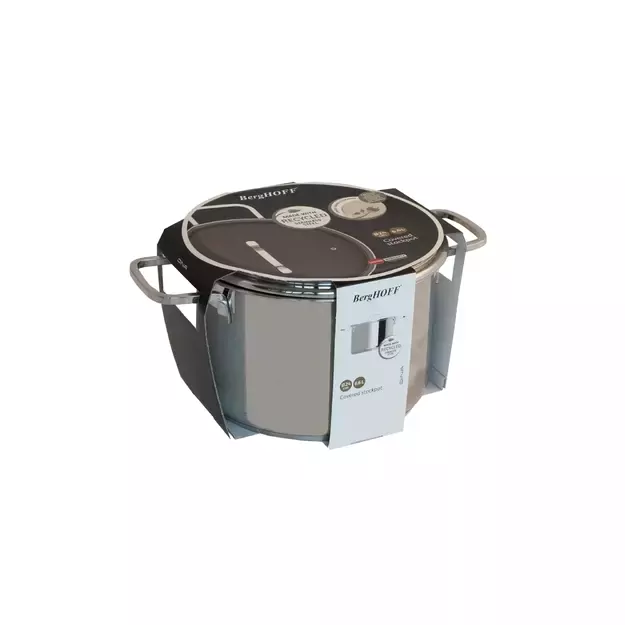 Berghoff „Helix“ nerūdijančio plieno katilas su dangčiu, Ø24 cm, 6,6 l 2