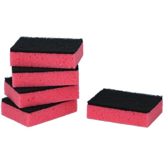 DIRT DEVIL premium šveitimo kempinės, 5 vnt.